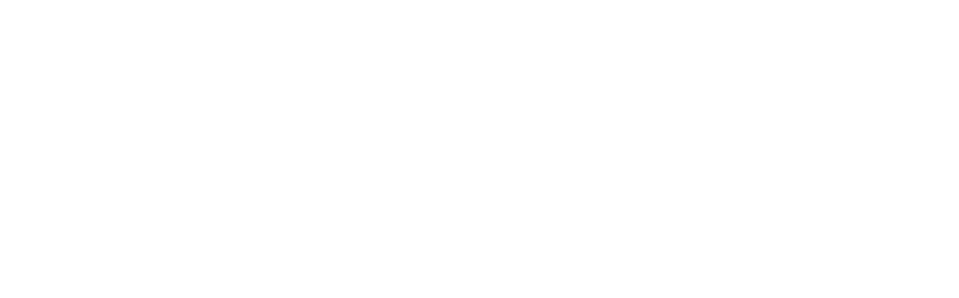 logo light